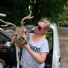 Deer mask